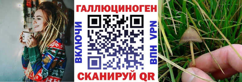 Псилоцибиновые грибы мицелий  kraken ТОР  Светлый 